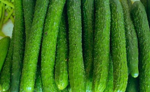 56吃瓜网 黄瓜c 独家爆料,黄瓜C惊人内幕大曝光！